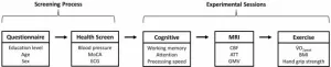 Cerebral blood flow and arterial transit in older adults