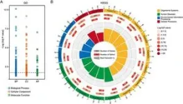 cfDNA sequencing enhances non-invasive early detection of gestational diabetes 2