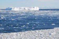 Changes in Antarctic marine ecosystems