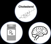 Changes in how cholesterol breaks down in the body may accelerate progression of dementia