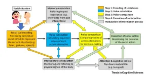 Changing one’s behavior in different social interactions is childs play