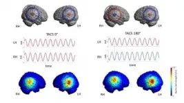 Changing the connection between the hemispheres affects speech perception