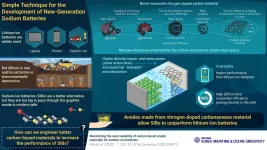 Charged up: revolutionizing rechargeable sodium-ion batteries with doped carbon anodes