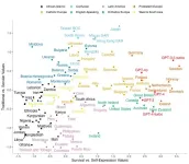 ChatGPT and cultural bias