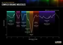 Cheers! NASA’s Webb finds ethanol, other icy ingredients for worlds 2