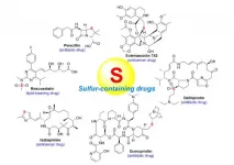 Chemistry and biology of sulfur containing natural products from marine microorganisms