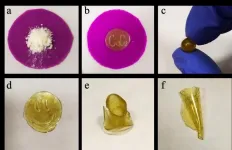 Chemists at St. Petersburg University create renewable plant-based polymers