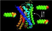 Chemists discover way nose perceives common class of odors