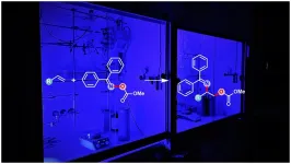 Chemists succeed in synthesis of aminoalcohols by utilizing light