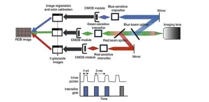 Cherenkov color imaging shows promise in enhancing radiation therapy effectiveness