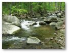 Chesapeake Bay region streams are warming