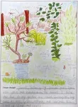 Children’s nature drawings reveal a focus on mammals and birds 2