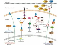 Chinese Medical Journal article reviews role of gene involved in brain functions and disorders