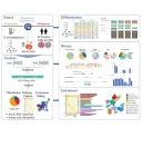 Chinese Medical Journal study presents new database linking RNA editing and blood cell differentiation