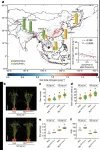 Chinese scientists uncover gene for rice adaption to low soil nitrogen