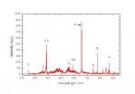 Chinese scientists use laser-induced breakdown spectroscopy to identify toxic cooking gutter oil