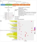 Chromosome-scale genome sequence of Suaeda glauca sheds light on salt stress tolerance in halophytes 3