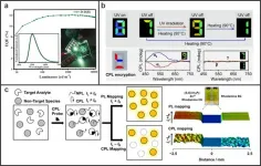 Circularly polarized luminescence from organic micro-/nano-structures