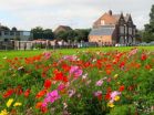 Cities support more native biodiversity than previously thought 2