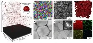 CityU joint research creates 3D-printed aluminium alloy with unprecedented fatigue resistance 2