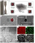 CityU joint research creates 3D-printed aluminium alloy with unprecedented fatigue resistance 3