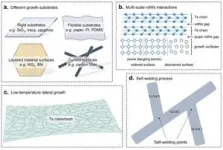 CityU researchers invent a low-temperature synthesis method for high-quality tellurium nanomesh for next-generation electronics 3