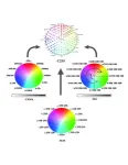 CityU scholars unify color systems using prime numbers 3