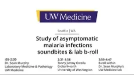 Classifying the natural history of asymptomatic malaria 3