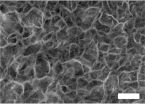 Clean energy future: New cheap and efficient electrode for splitting water 2