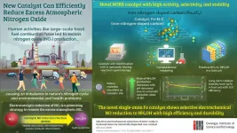 Clearing the air: A reduction-based solution to nitrogen pollution with a novel catalyst