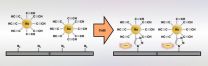 Click! That's how modern chemistry bonds nanoparticles to a substrate 2