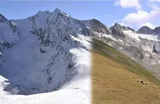 Climate change-driven snowmelt in Alps triggers abrupt seasonal change