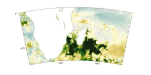 Climate change, drought, dust, and plankton blooms