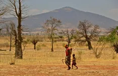 Climate change is hurting childrens diets, global study finds