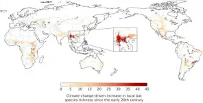 Climate change may have driven the emergence of SARS-CoV-2