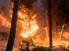 Climate models project increase in US wildfire risk