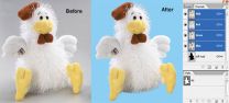 Clippingbd Offers Clipping Path, Alpha Channel Masking, Image Retouching, Multiple Photoshop Clipping Path For Color Correction, Shadowing & Drop Shadow And Image Background Customization Services 3