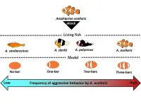 Clown anemonefish seem to be counting bars and laying down the law