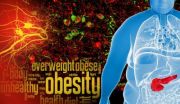 Clues to curbing obesity found in neuronal sweet spot