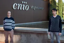 CNIO researchers explain the toxicity of USP7 inhibitors, under development for cancer treatment