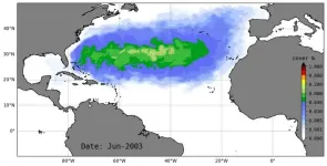 Co-authored USF study identifies ‘surprising’ cause of sargassum blooms in Caribbean