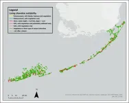 Coastal guardians pioneer a new way to protect the Florida Keys’ shorelines