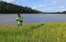 Coastal wetlands are natures flood defences