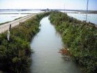 Cocaine and ecstasy detected in waters of the LAlbufera in Valencia