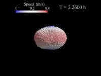 Coinfecting viruses impede each other’s ability to enter cells 2