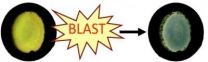 Color-changing blast badge detects exposure to explosive shock waves