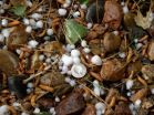 Colorado mountain hail may disappear in a warmer future