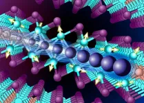 Columbia chemists create the first 2D heavy fermion