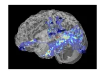 Columbia University study finds that improved access to mental health care is associated with reductions in suicide risk 2