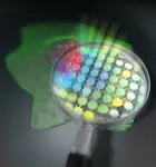 Comb of a lifetime: a new method for fluorescence microscopy